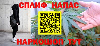 СК Рязань