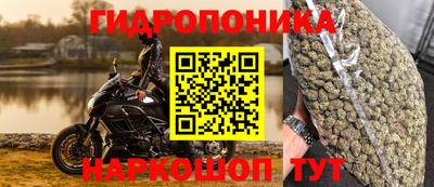 СК Рязань